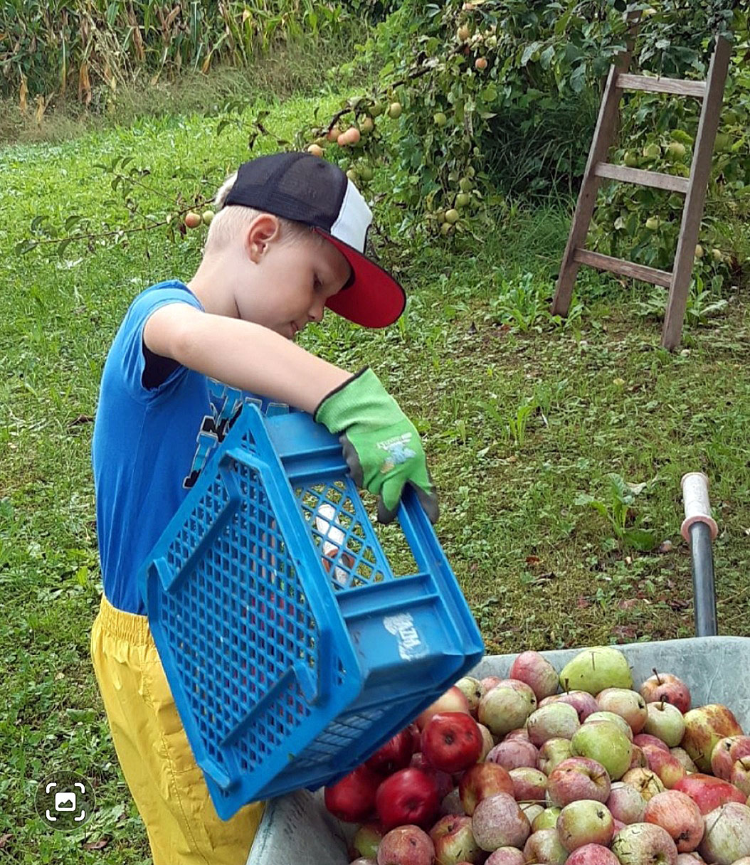  Der Apfel im Kindergarten - Schule Brittnau 